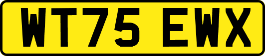 WT75EWX