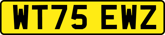 WT75EWZ