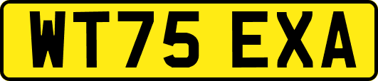 WT75EXA