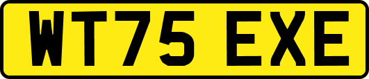 WT75EXE