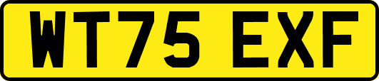 WT75EXF