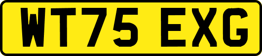 WT75EXG
