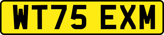 WT75EXM