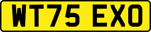 WT75EXO