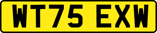 WT75EXW