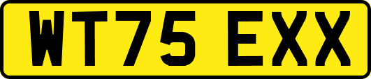WT75EXX