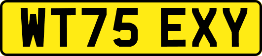 WT75EXY