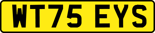 WT75EYS