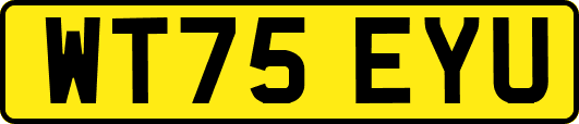 WT75EYU