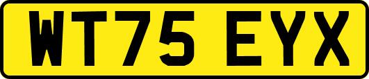 WT75EYX