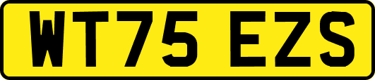 WT75EZS