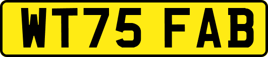 WT75FAB