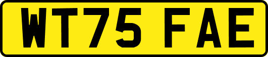 WT75FAE