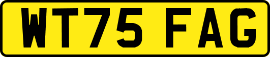 WT75FAG