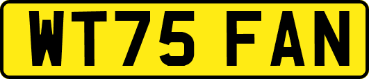WT75FAN