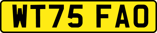 WT75FAO