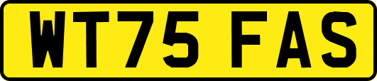 WT75FAS