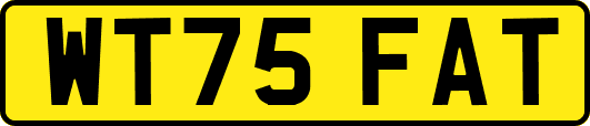 WT75FAT