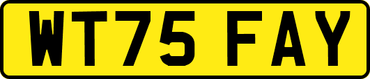 WT75FAY
