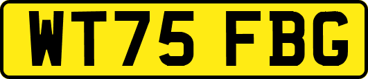 WT75FBG