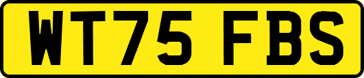 WT75FBS