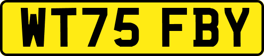 WT75FBY