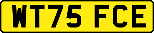 WT75FCE