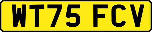 WT75FCV