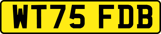 WT75FDB