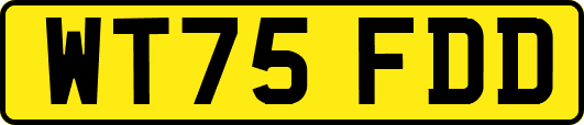 WT75FDD