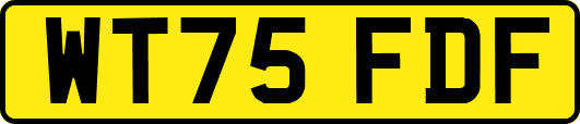 WT75FDF