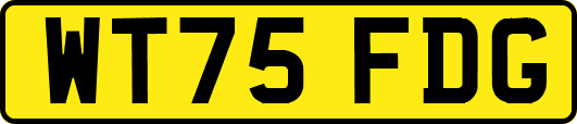 WT75FDG