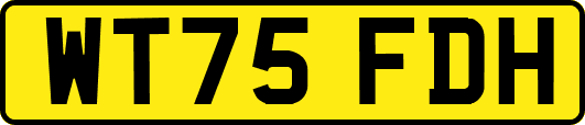 WT75FDH
