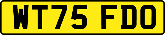 WT75FDO