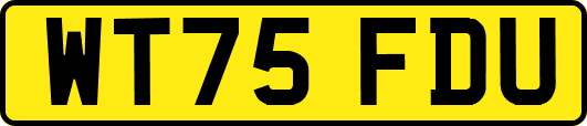 WT75FDU