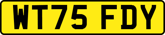 WT75FDY