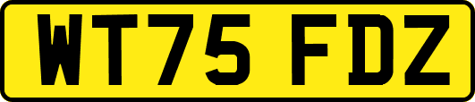 WT75FDZ