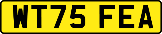 WT75FEA