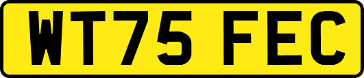 WT75FEC