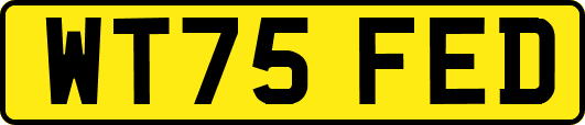 WT75FED