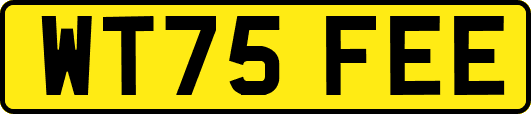 WT75FEE
