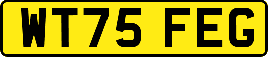 WT75FEG