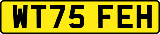 WT75FEH