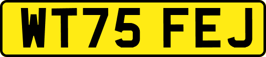 WT75FEJ