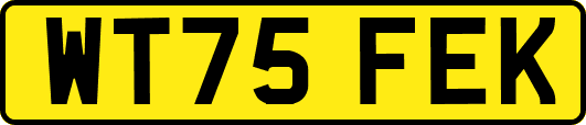 WT75FEK