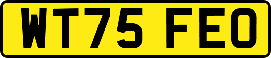 WT75FEO