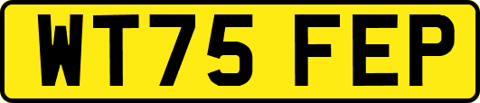 WT75FEP
