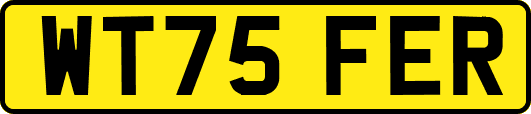 WT75FER