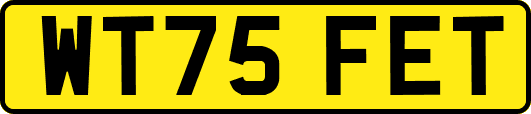 WT75FET
