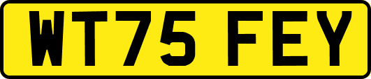 WT75FEY
